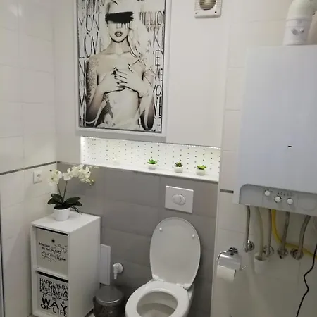 Salvus Apartman Erlau